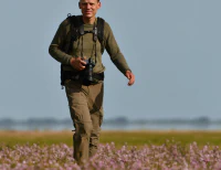 man walking through pink flowers in a flat landscape with the waddensea in the background